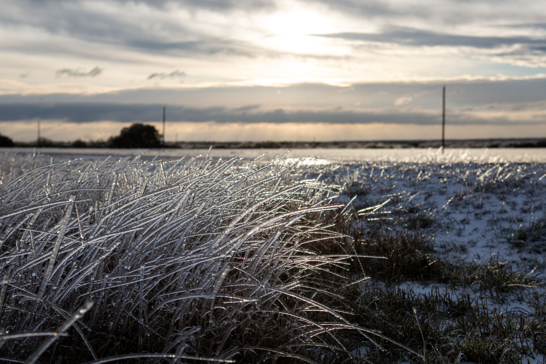 Winter storm in Goliad